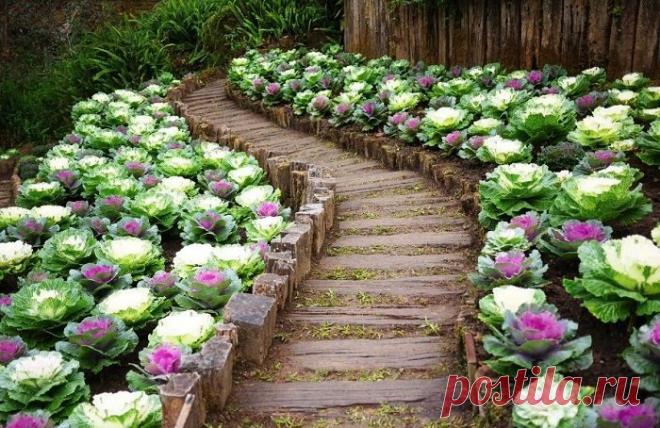 Примеры великолепного оформления садового участка своими руками