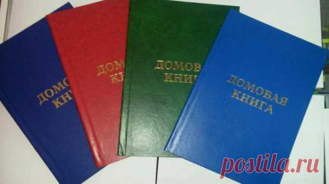 Образцы выписок из домовой книги, где взять выписку из домовой книги