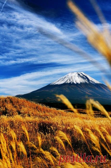 musts:
“© ポテト
Mt. Fuji, Honshu Island, Japan
”