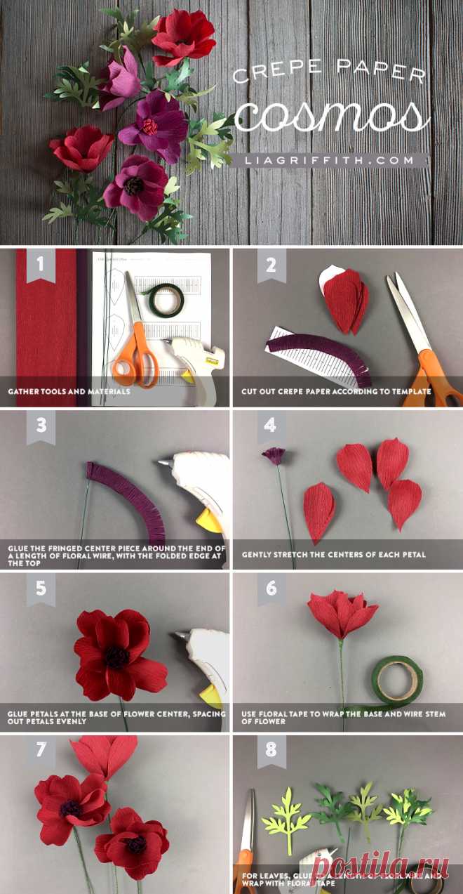 Crepe Paper Cosmos | Easy DIY Paper Flower for Beginners