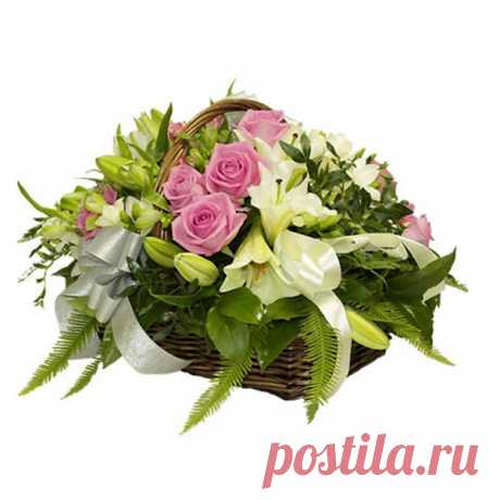 Заказать Грёзы c доставкой по Краснодару