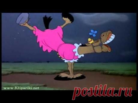 Мультклип - Молодая лошадь