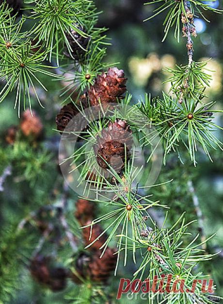 Stock Photos, Royalty-Free Images & Video Footage By Dreamstime Stock Photography