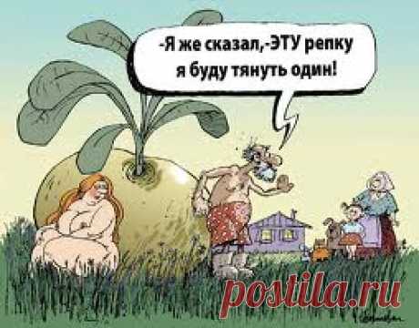 АНЕКДОТЫ ПРО ДАЧНИКОВ