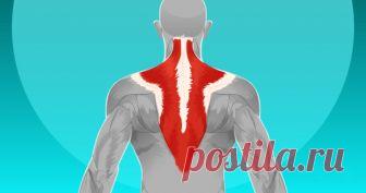 Kaklo ir nugaros raumenų užspaudimas. Kaip susidoroti su skausmo sindromu? — VMarkus