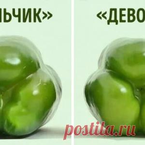 12 самых крутых кухонных трюков, знание которых сделает из вас аса кулинарии - МирТесен