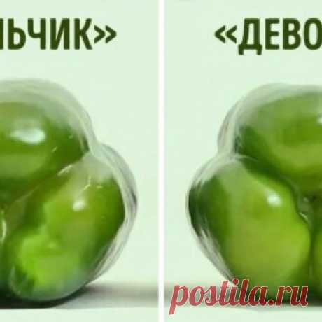 12 самых крутых кухонных трюков, знание которых сделает из вас аса кулинарии - МирТесен