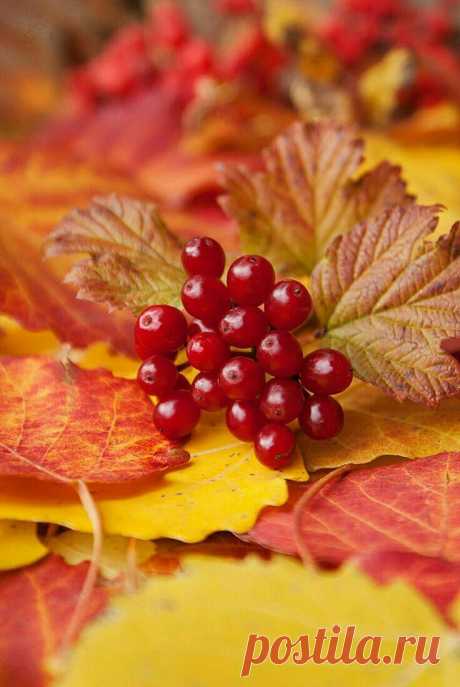 Пин на доске Autumn