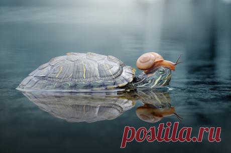 (46) Мой Мир@Mail.Ru