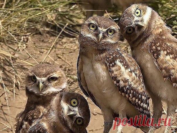 Интересные новости