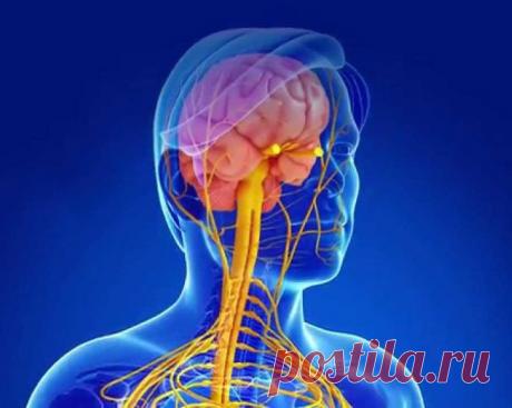 Основные симптомы рассеянного склероза / Будьте здоровы