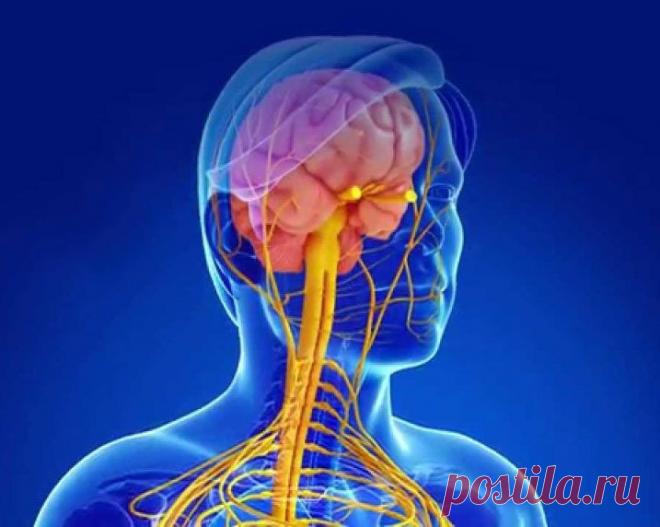 Основные симптомы рассеянного склероза / Будьте здоровы