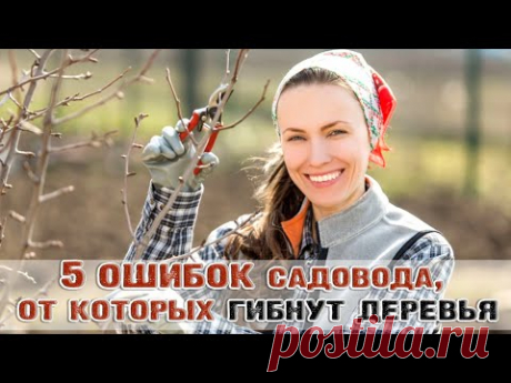 5 ошибок садовода, от которых гибнут деревья ➤ Почему умирают плодовые деревья? ➤ Деревья на зиму
