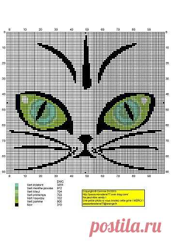 Yeux-verts.jpg | PONTO CRUZ - (=^｡^=)