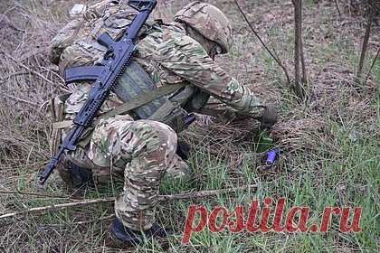 Белоусов высказался о разминировании российских приграничных территорий
