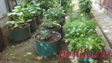 Магия круга на участке: идеальное оформление по кругу | Декорочка | Яндекс Дзен