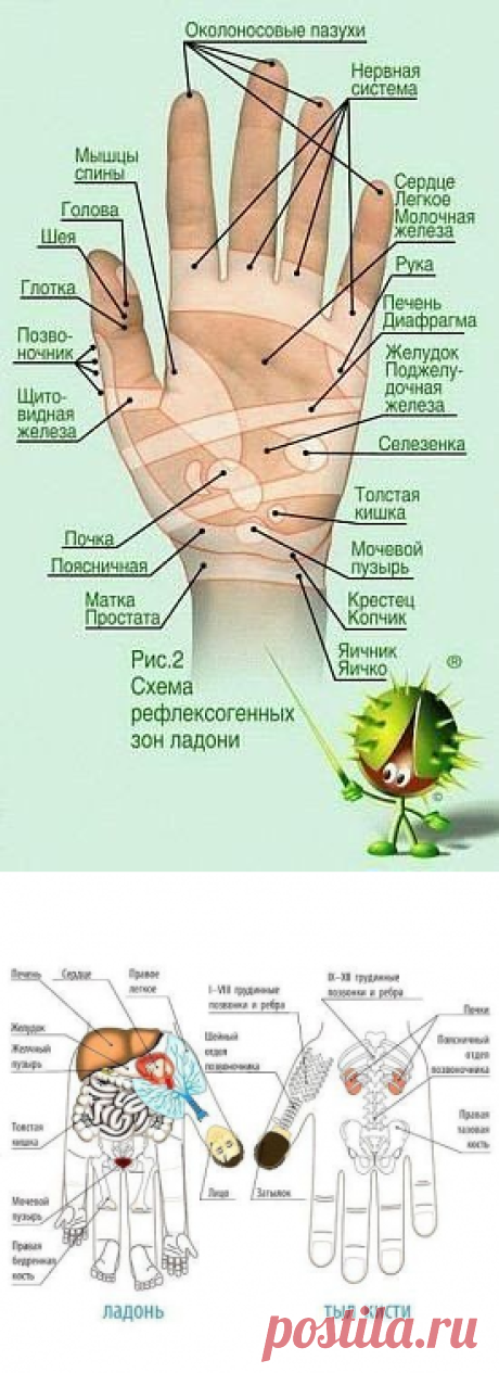 Тайная сила в наших руках! | uDuba.com