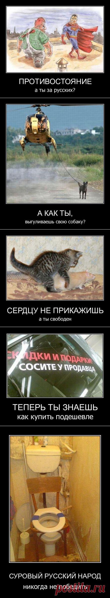 Подборка демотиваторов, для поднятия настроения