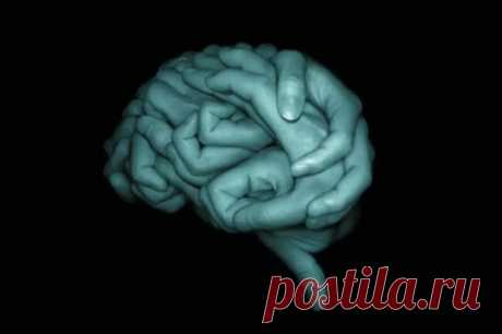 Тест - Какие слабости вы прячете под маской? То, что увидели первым, обнажит ваши слабые места!Мозг