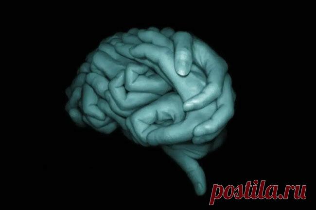 Тест - Какие слабости вы прячете под маской? То, что увидели первым, обнажит ваши слабые места!Мозг