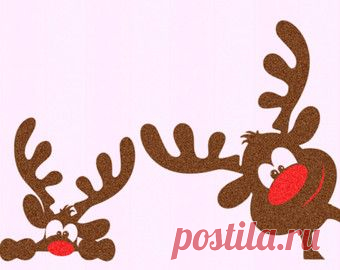 (23) Pinterest