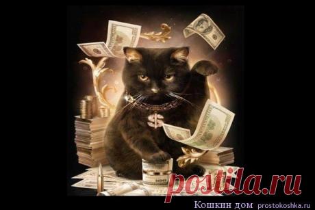 ОТ БЕДНОСТИ И ДЛЯ БОГАТСТВА   
Делайте на растущую луну. Купите новое сито и 2 лоскутка ткани (один красного цвета, а другой черного). Разменяйте 50 рублей 5 рублевыми монетами (или любую крупную купюру с цифрой 5 на мелкие монеты с этой же цифрой). Придя домой возьмите муку, смешайте с этими монетами и просейте её на черную ткань. Монеты положите из сита на красный лоскуток.
На просеянную муку скажите 3 раза:
"Бедность моя поганая,
Скажу тебе слова поминальные,
Слова прощ...