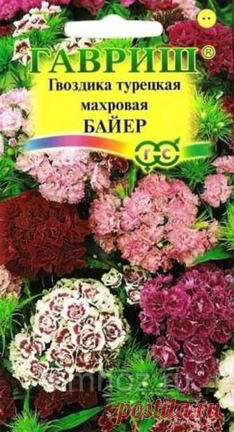 Гвоздика турецкая махровая Байер смесь 0,2 г (Гавриш) - купить по лучшей цене в Ульяновске от компании 
