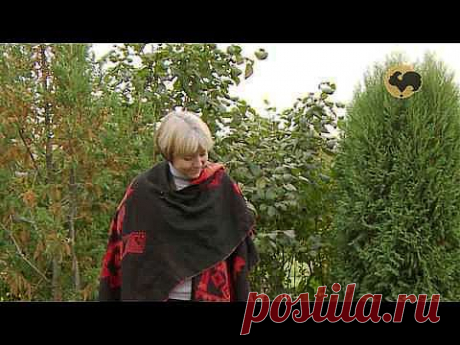 Осенние работы в саду. Ландшафтные хитрости 93 - YouTube