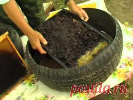 Применение автопокрышек в саду