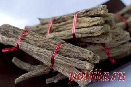 Как использует корень солодки народная медицина
Солодка (лакричник желтый, корень лакрица) – самое древнее лекарственное растение. О ней знали и с успехом использовали еще наши предки для терапии очень многих заболеваний. Лечебными считаются корни…