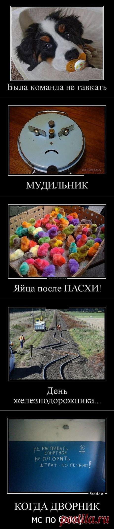 Улыбнись!!! | ОБОРЖАКА ;)