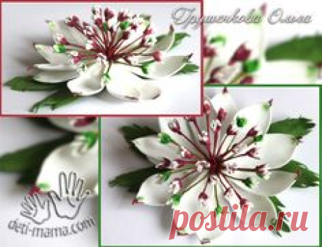 Pinterest • Всемирный каталог идей