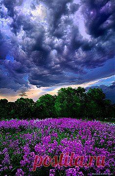 три слоя смерти