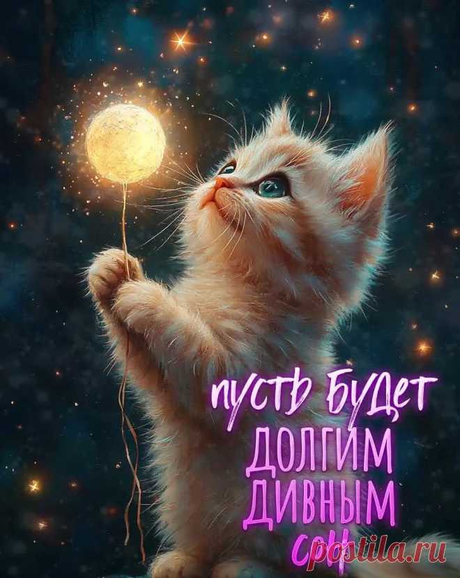 Картинка спокойной ночи с пожеланием и котенком
