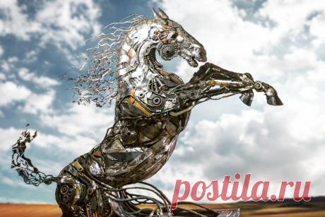 Металлические скульптуры Чема Озкана Чем Озкан получил среднее образование в школе изящных искусств Анкары. Благодаря тому, что его мать была учителем живописи, его любопытство к искусству увеличилось, и он продолжил обучение в отделе скульптуры факультета изящных искусств Анатолийского университета.