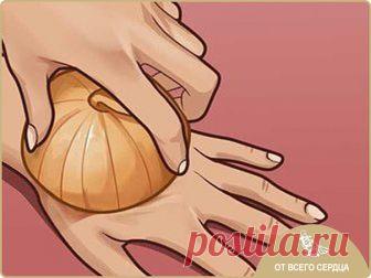 Сырой лук — источник молодости и сильнейший регенератор клеток! Берем самую обычную луковицу… 

Одно из самых ярких впечатлений про лук, конечно же, родом из детства. Помню, как в младших классах на уроке труда весь класс дружно готовил винегрет. Так получилось, что непростая миссия нарезки лука выпала на долю моего друга, очень хрупкого и утонченного мальчика, настоящего аристократа. Он плакал всерьез: поток слёз было не остановить. Он даже не пытался сопротивляться силе ...