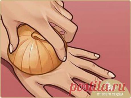 Сырой лук — источник молодости и сильнейший регенератор клеток! Берем самую обычную луковицу… 

Одно из самых ярких впечатлений про лук, конечно же, родом из детства. Помню, как в младших классах на уроке труда весь класс дружно готовил винегрет. Так получилось, что непростая миссия нарезки лука выпала на долю моего друга, очень хрупкого и утонченного мальчика, настоящего аристократа. Он плакал всерьез: поток слёз было не остановить. Он даже не пытался сопротивляться силе ...