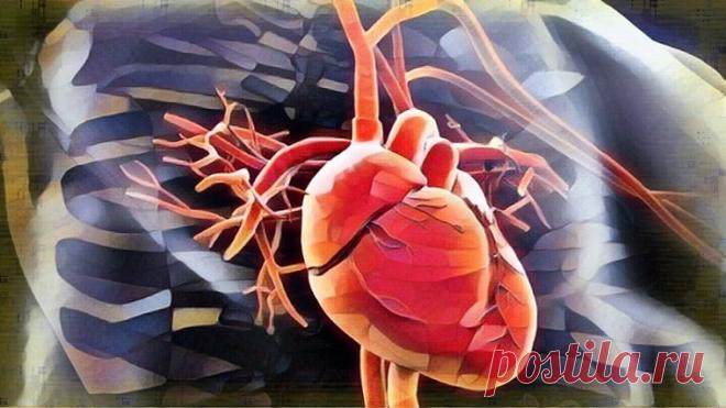 3 самых важных витамина для сердца: в каких продуктах их больше всего | Здоровый Дух | Яндекс Дзен