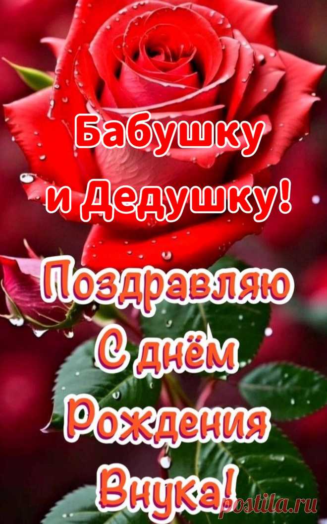 Балуйте Внука, берегите,
Лелейте, целуйте, храните.
Ведь нету дороже на свете,
Чем внуки родные и дети.