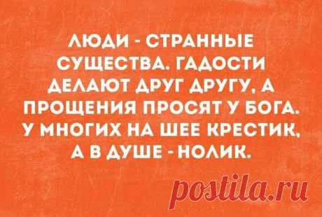 Подслушано Волхов