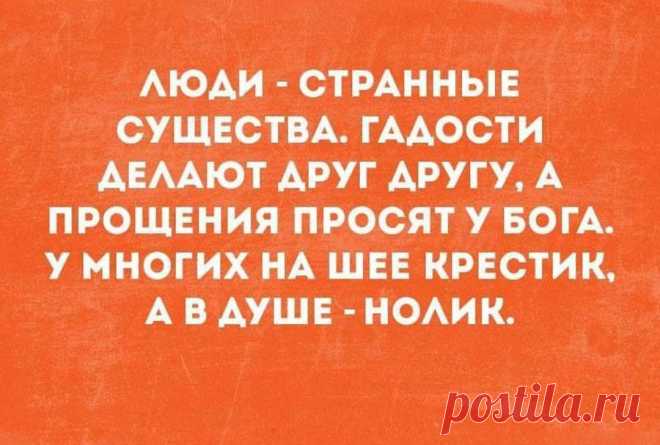 Подслушано Волхов