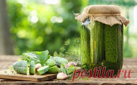 Agurkai žiemai - 27 laiko patikrinti agurkų konservavimo receptai! | La Maistas