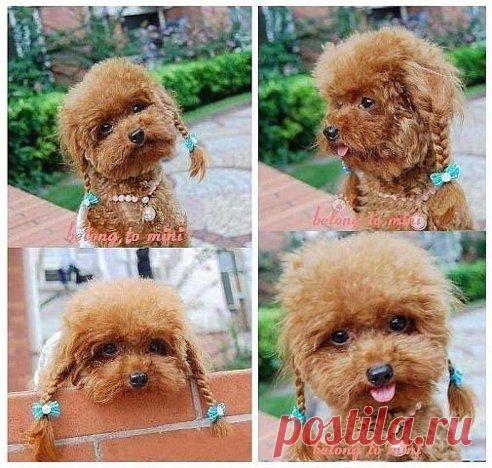 (67) Одноклассники