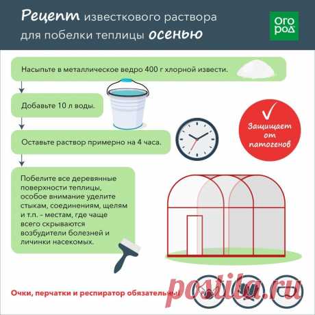 Рецепт известкового раствора для побелки теплицы осенью