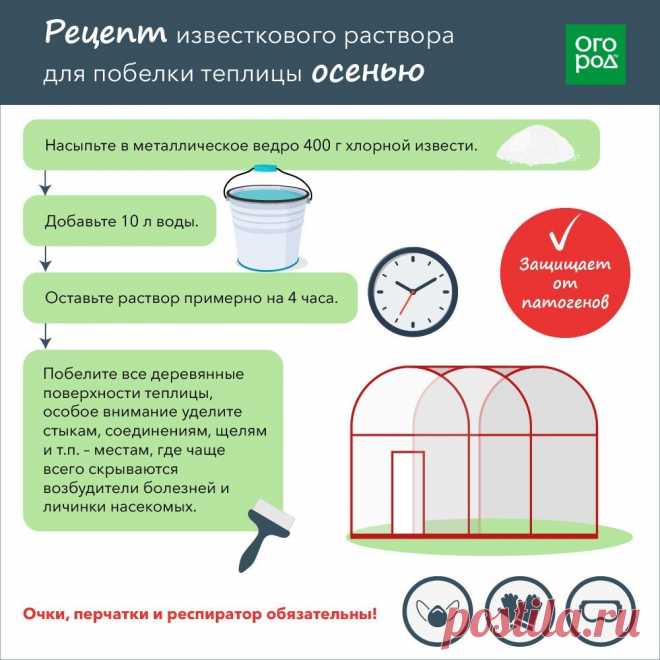 Рецепт известкового раствора для побелки теплицы осенью
