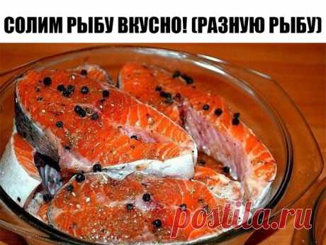 Солим рыбу вкусно! (разную рыбу)

Рыбу, приготовленную таким способом, можно кушать уже через 2 часа. Но еще вкусней она получится, если постоит немного в холодильнике и пропитается маслом. Вы берите рыбку на свой вкус.

Потребуется:
-2 рыбки
-лук по вкусу (его можно побольше, очень вкусный)
-вода комнатной температуры 400 мл
-соль 2 столовых ложки без горки
-масло подсолнечное (можно с запахом, кому нравится) 200 мл
-лавровый лист 3 штуки
-гвоздика 3 штуки
-перец горошком...