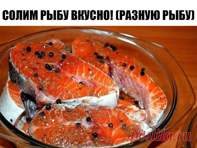 Солим рыбу вкусно! (разную рыбу)

Рыбу, приготовленную таким способом, можно кушать уже через 2 часа. Но еще вкусней она получится, если постоит немного в холодильнике и пропитается маслом. Вы берите рыбку на свой вкус.

Потребуется:
-2 рыбки
-лук по вкусу (его можно побольше, очень вкусный)
-вода комнатной температуры 400 мл
-соль 2 столовых ложки без горки
-масло подсолнечное (можно с запахом, кому нравится) 200 мл
-лавровый лист 3 штуки
-гвоздика 3 штуки
-перец горошком...