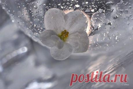 Сногсшибательная нежность фотографий Татьяны Образ