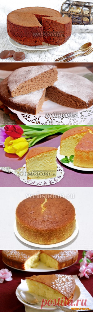 Воздушный, нежный бисквит на любой вкус - рецепты приготовления.