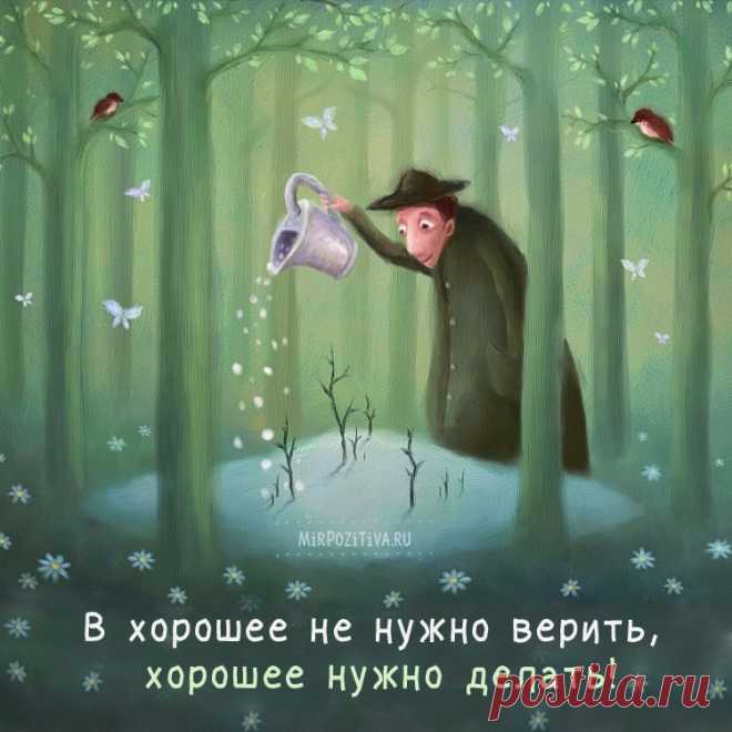 8 позитивчиков ноября